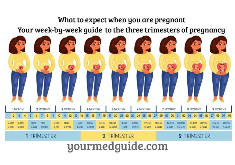 Week by week pregnancy guide - What to expect when you are pregnant ...