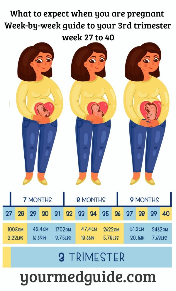 Week by week pregnancy guide - What to expect when you are pregnant - Your  Med Guide